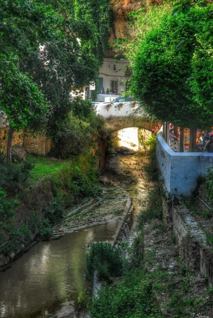 הוילה Setenil De Las Bodegas Casa Cueva Un Rincon En La Roca מראה חיצוני תמונה